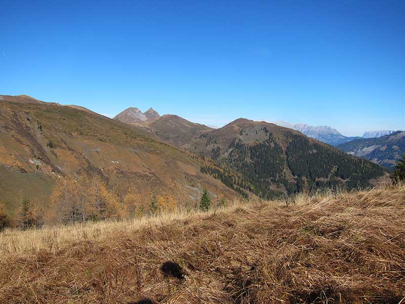 Schwarzwand